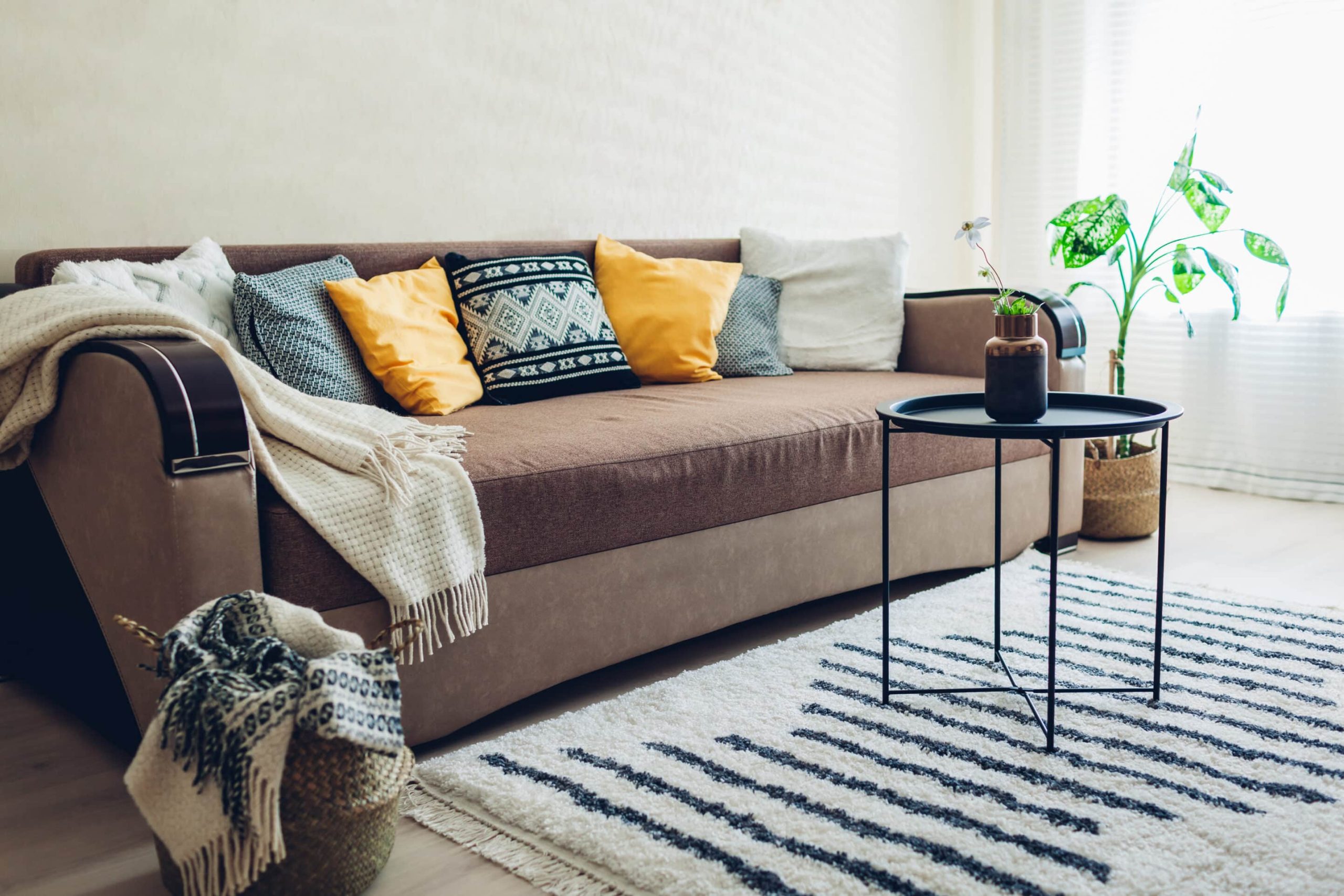 throw blanket in living room